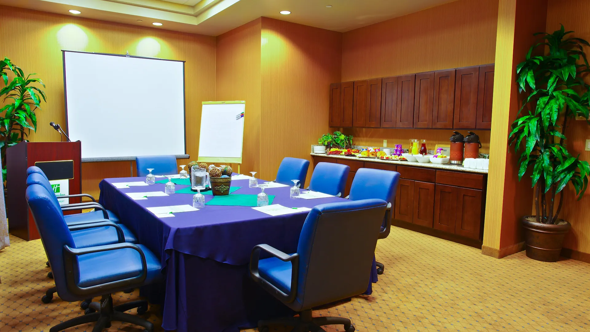 Holiday Inn & Suites Phoenix Airport By Ihg